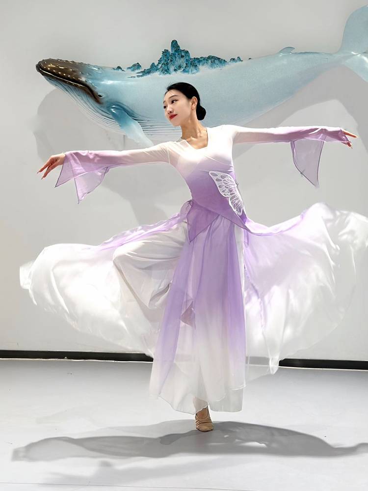 Classical dance clothing female body rhyme Graminated ancient style dance service Chinese dance exercise uniform fairy gauze performance suit suit