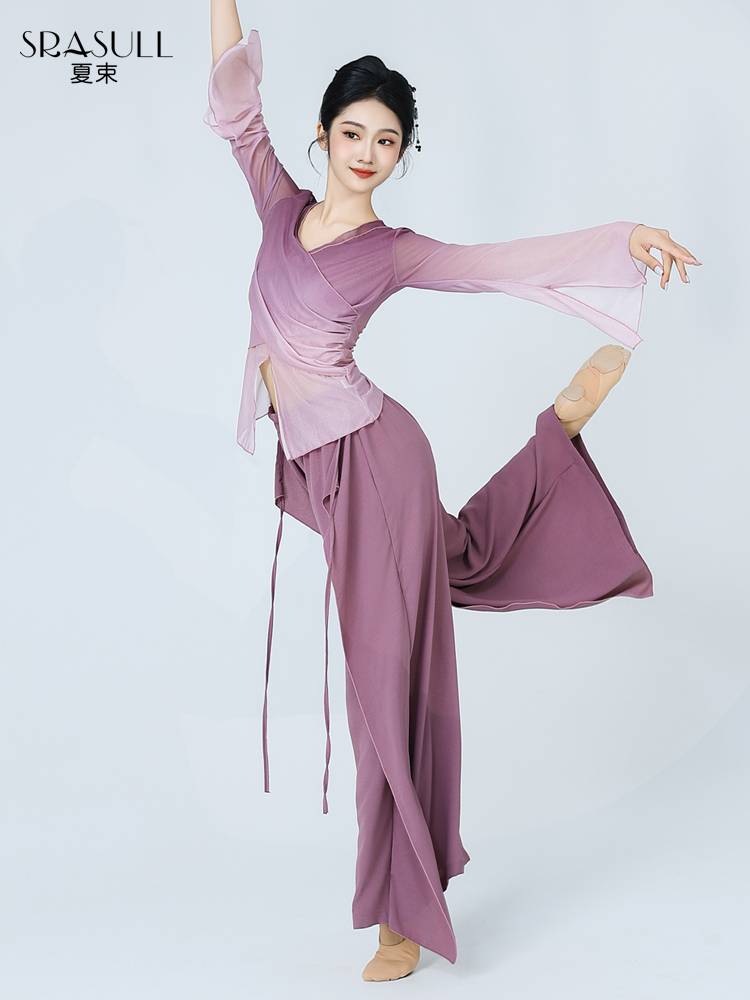 Xia Shu classical dance clothing, elegant women's gradient yarn clothes body rhyme, Chinese dance new long sleeve top