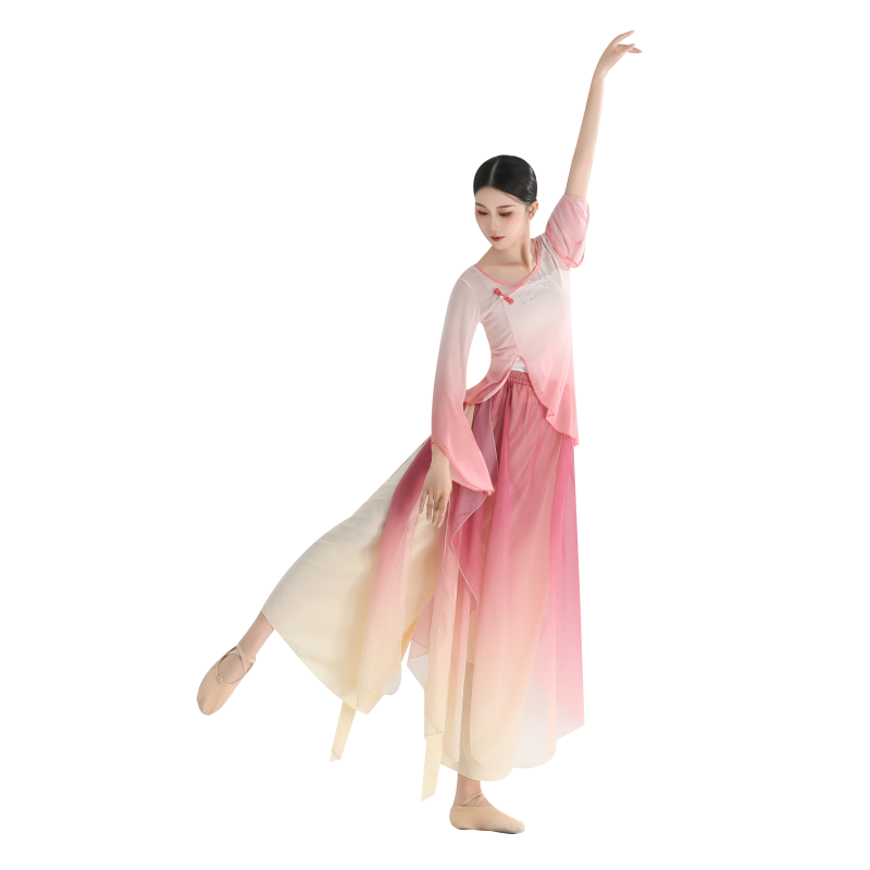 Classical dance clothing female elegant gauze Chinese dance exercises female body rhyme, fairy elastic top, performance service ancient style