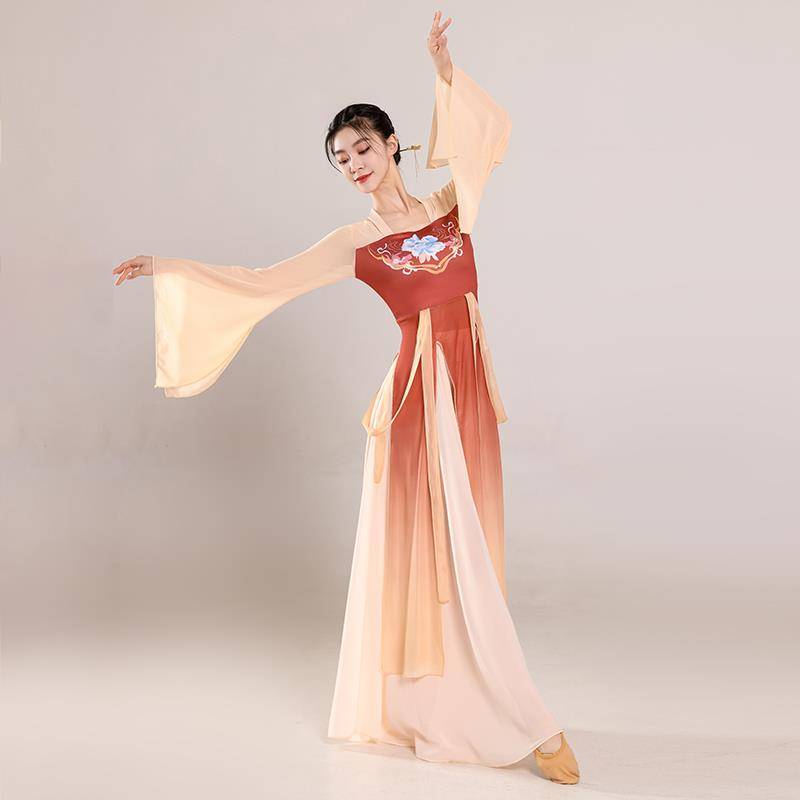Classical dance dance service female ancient style Han Tang Piao tape long printed body rhyme gauze Chinese dance nation dance performance