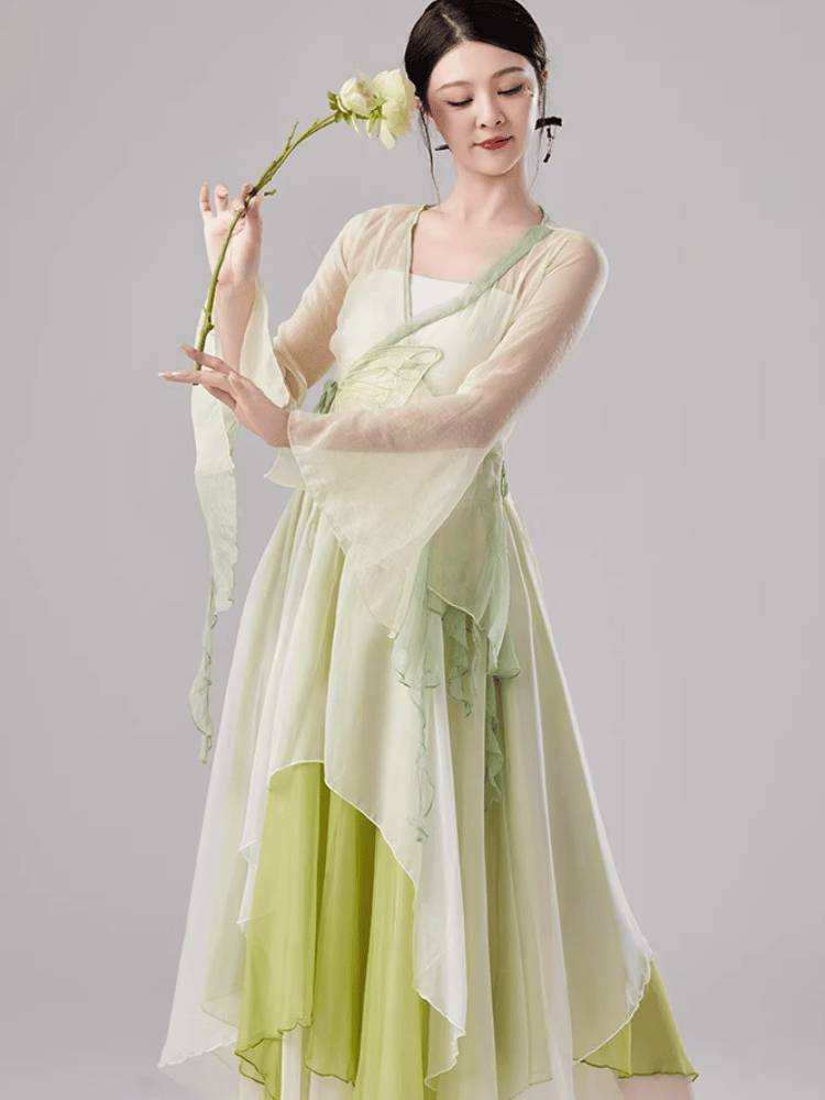 Renting classical dance body rhymes, butterfly gauze Chinese dance exercise skills test performance service women's elegant fairy dance