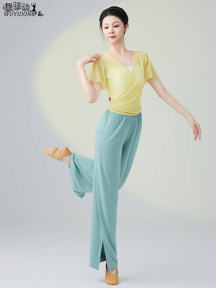 Classical Dance Dance Funny Female New Plastic Net Sweet Dance Dance Broad -leg Pants Modern Dance Performance Clothing