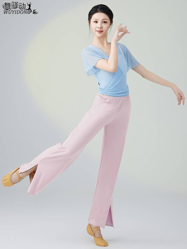Classical Dance Dance Funny Female New Plastic Net Sweet Dance Dance Broad -leg Pants Modern Dance Performance Clothing