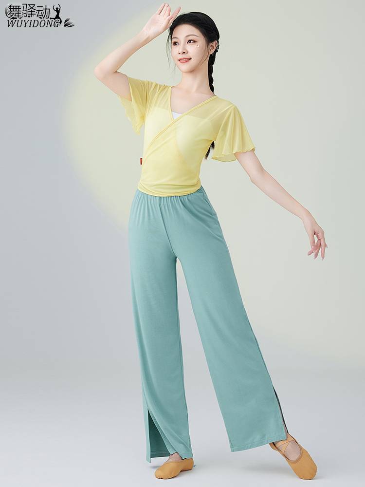 Classical Dance Dance Funny Female New Plastic Net Sweet Dance Dance Broad -leg Pants Modern Dance Performance Clothing