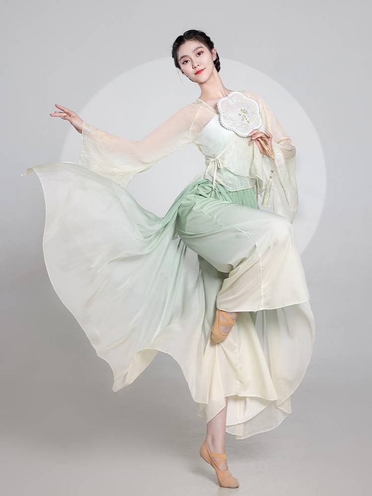 Classical dance clothing female elegant Chinese dance exercises, ancient style, gesture, galloped gauze, classical dance performance service