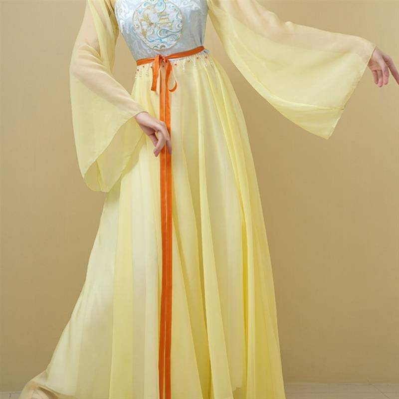 Classical dance dance clothing large skirt gauze embroidery model Chinese style female mythical dance clothing long elegant super immortal