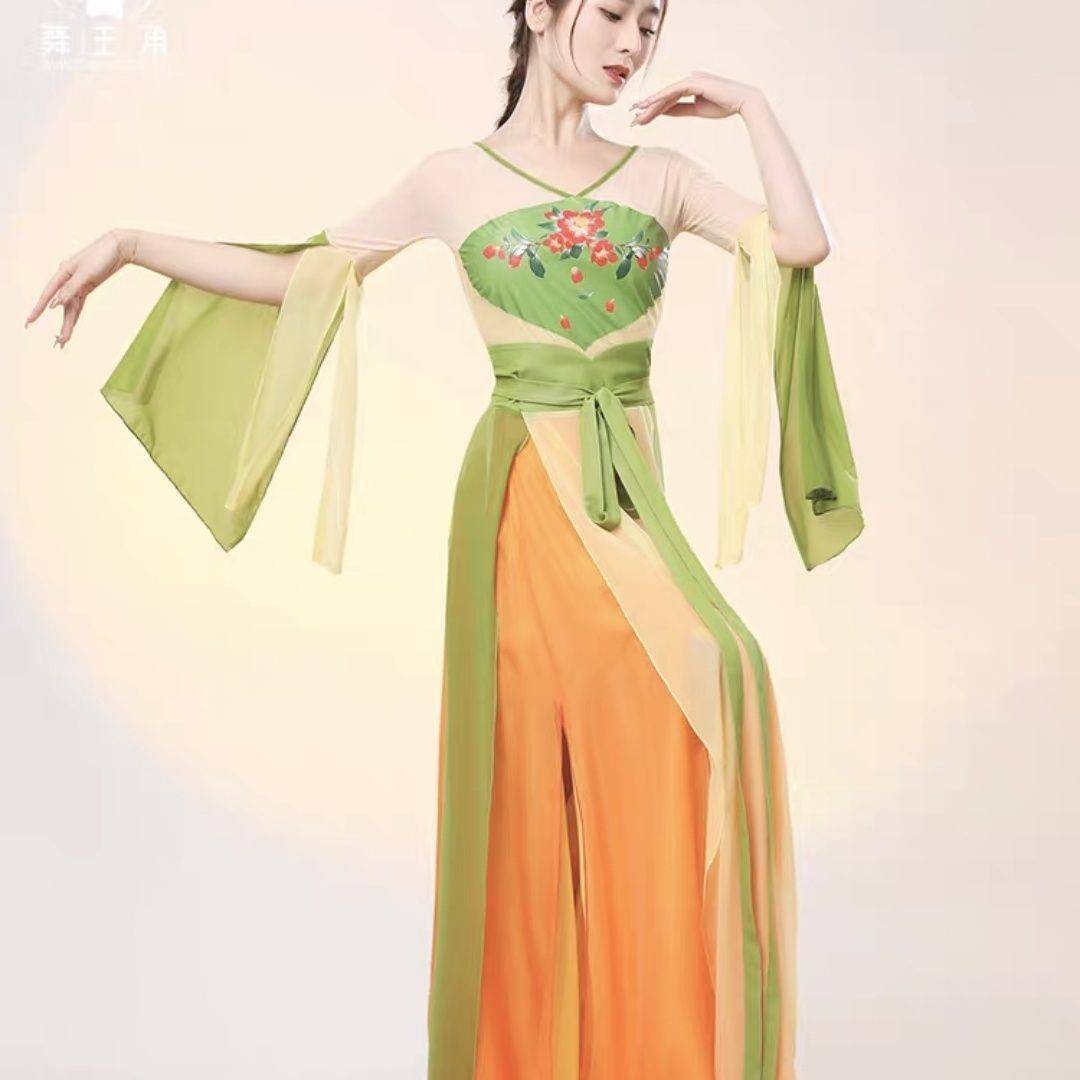 2024 new classical dance dance clothes, body rhyme, elegant Chinese dance training service performance service Dunhuang performance service