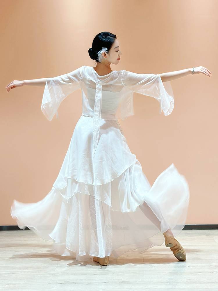 Classical Dance Performance Services Summer Fairy Gold Global Skirt Big Skirt Body Rhyme Practice Chinese Dance Performance Service