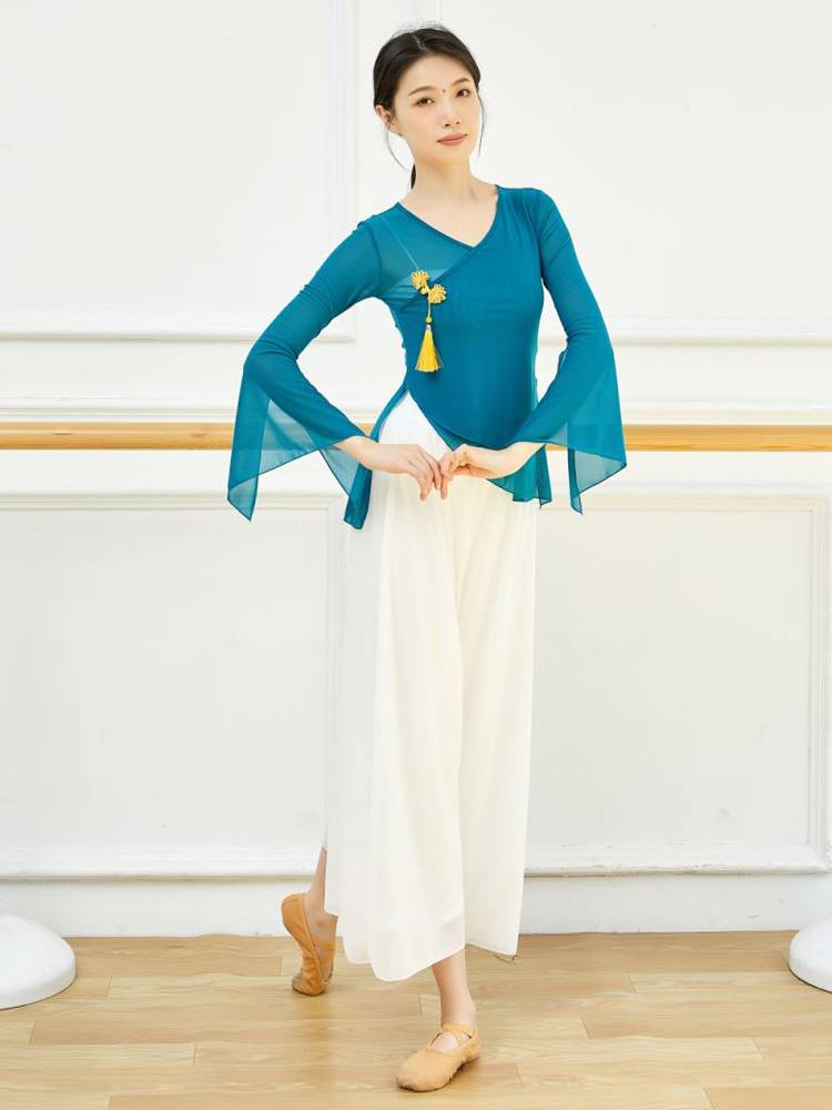 Classical dance body rhyme gauze new dance suit Practice the girl elegant performance clothing Chinese style shirt summer