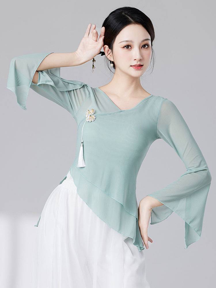 Classical dance gauze body rhyme training girl elegant performance service art test Chinese style fairy foundation dance clothes top