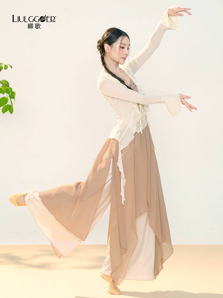Liu Ge Classical Dance Body Rhyme Long Sleeve Dance Practice Server Chinese Dance Flower Performing Dance Server Girl