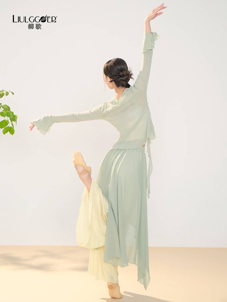 Liu Ge Classical Dance Body Rhyme Long Sleeve Dance Practice Server Chinese Dance Flower Performing Dance Server Girl