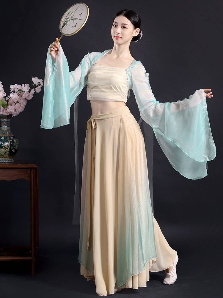 None of the Great Zuo Senyu Classical Dance Services Girls' Practice Gunnarian National Dance Han Tang Yue watching clothing