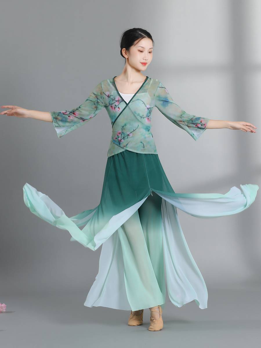 New Chinese dance classical dance top dance dance practice clothing female gradient gauze suit performance