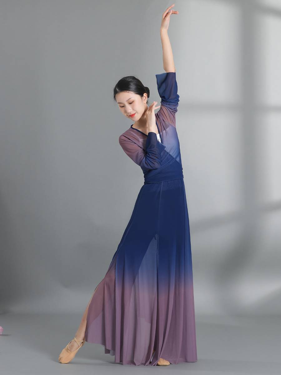 New Chinese dance classical dance top dance dance practice clothing female gradient gauze suit performance