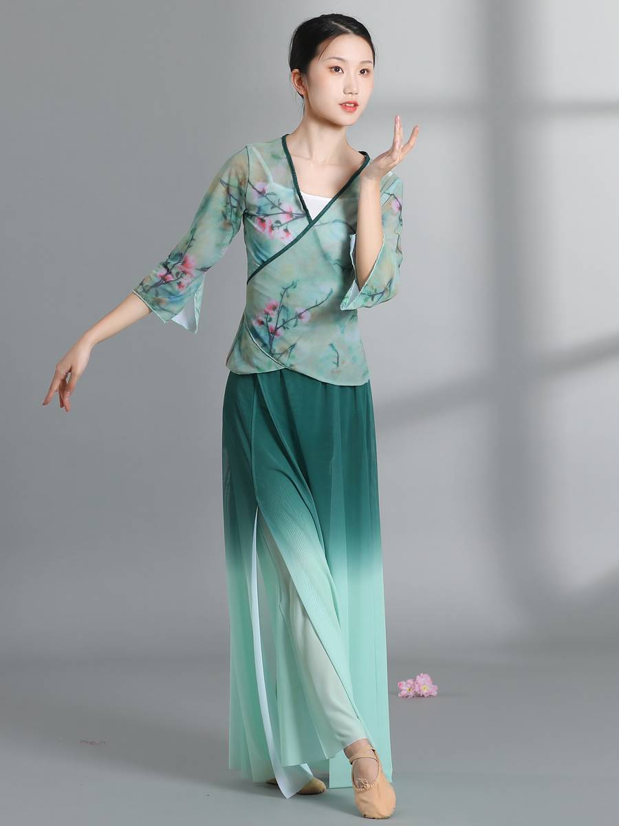 New Chinese dance classical dance top dance dance practice clothing female gradient gauze suit performance