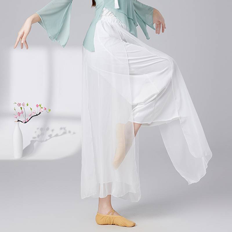 Classical dance service female rhyme new elegant wild thin skirt pants practice service Chinese style dance performance service fairy