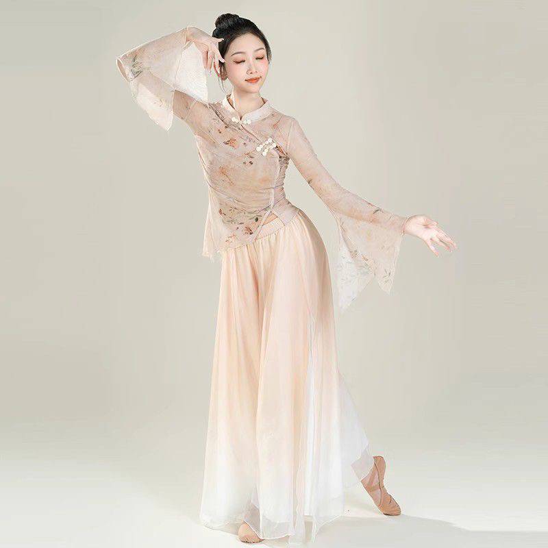 Classical Dance Yaru Women's elegant Chinese style dance clothing practice clothes, top, body rhyme watch performance costume 2024 new style