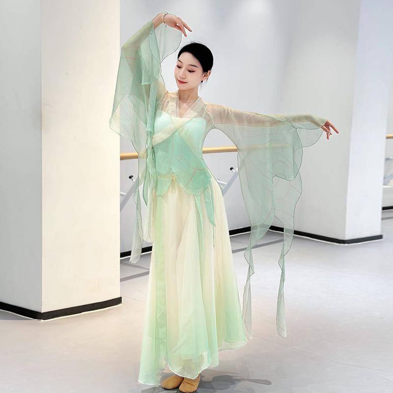 Classical dance exercise, female body rhyme gradient dance dance clothes Chinese dance performance clothing show elegant art test dance service