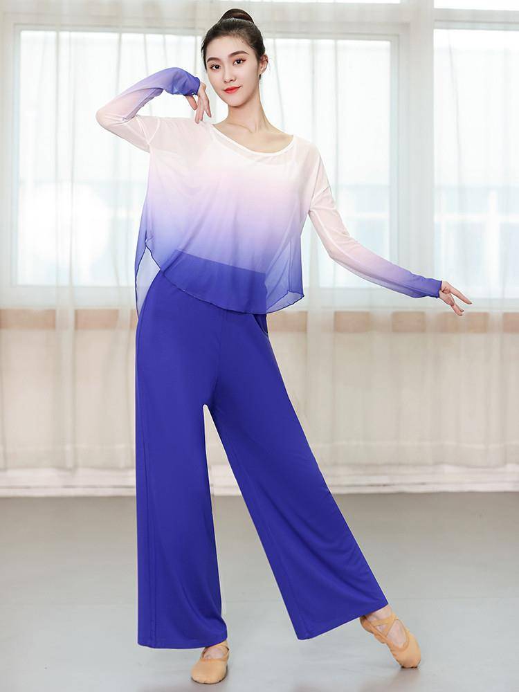 Classical Dance Gradm mesh long -sleeved Chinese dance exercise service women's top student modern dance service body rhyme dance service