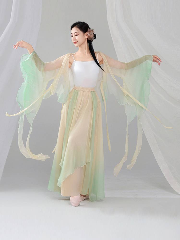 Classical dance exercises gradually transformed into rhyme yae dance clothes Chinese dance elegant performance dance service girl