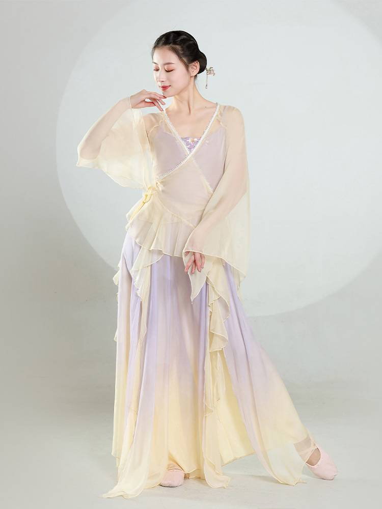 Classical dance clothing female elegant gauze body rhyme chiffon top performance service Chinese dance training service