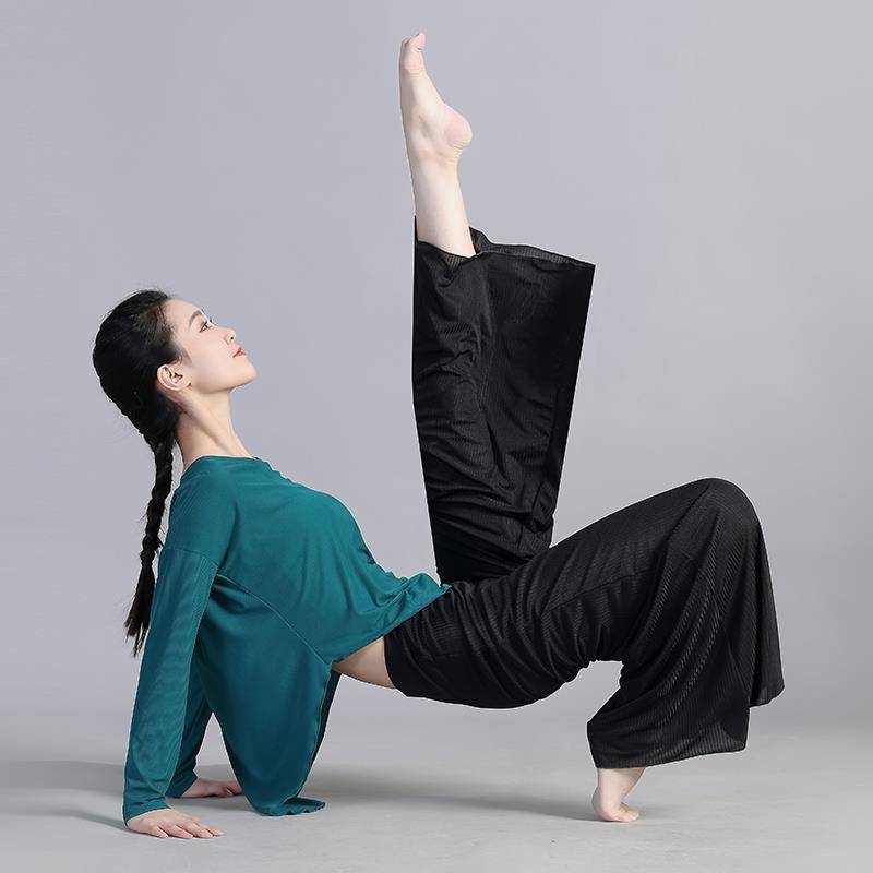 Wen Xianyun 202 spring and summer new Chinese classical dance modern dance large size body rhyme training exercise uniforms loose top