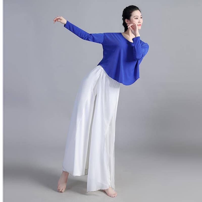 Wen Xianyun 202 spring and summer new Chinese classical dance modern dance large size body rhyme training exercise uniforms loose top