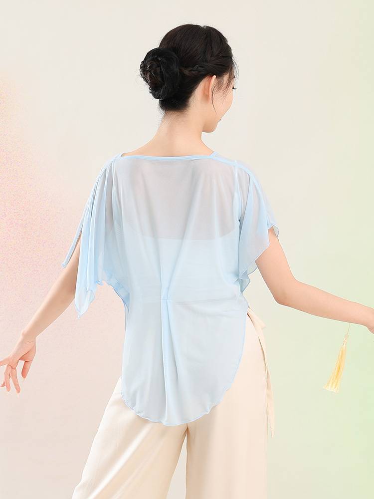 Chun Ruo Ji Classical Dance Bat Sleeve Sleeping Net Said Yin Xianqi Yaogong Chinese Dance Currers Curvit Training Dance