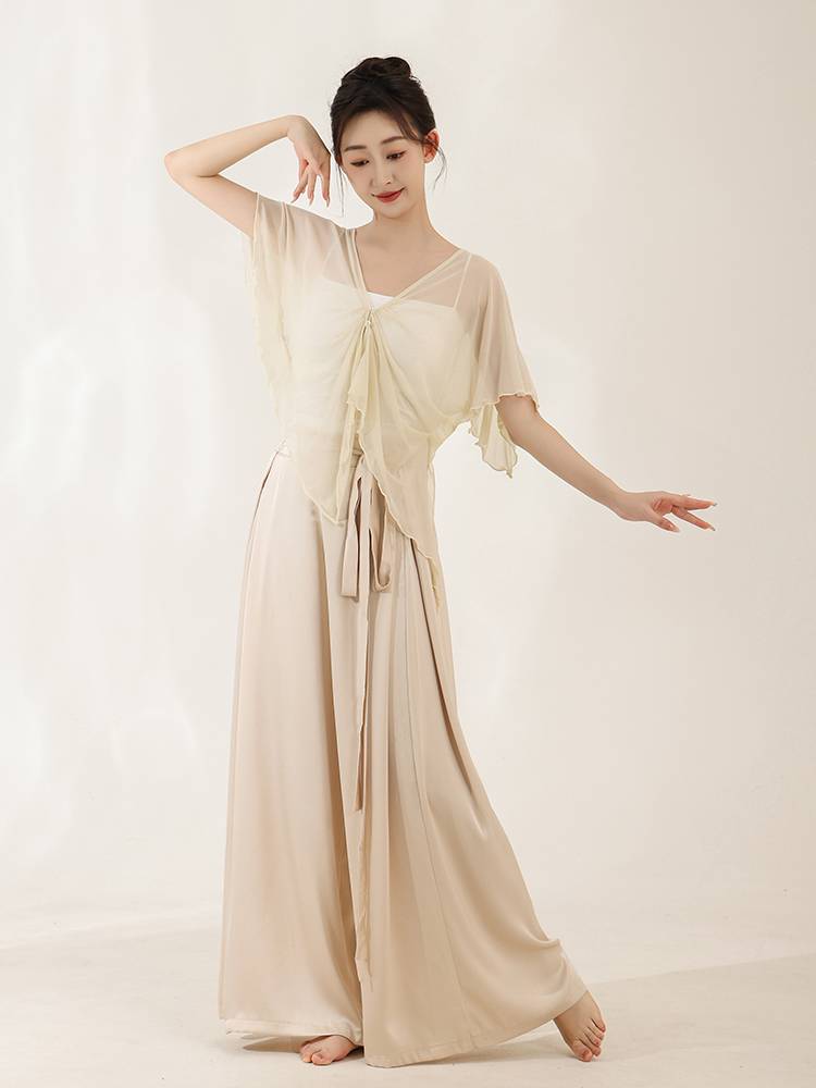 Chun Ruo Ji Classical Dance Bat Sleeve Sleeping Net Said Yin Xianqi Yaogong Chinese Dance Currers Curvit Training Dance