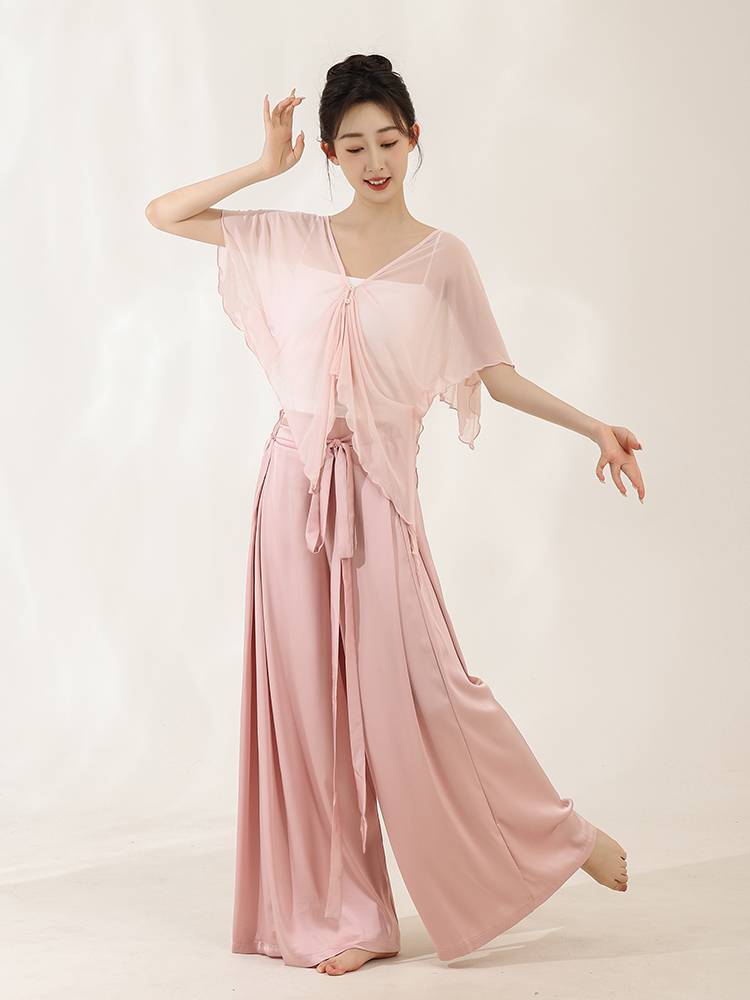Chun Ruo Ji Classical Dance Bat Sleeve Sleeping Net Said Yin Xianqi Yaogong Chinese Dance Currers Curvit Training Dance