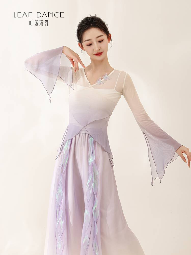 Ye Luo Qing Dance Classical Dance Body Rhyme Gradient Dress Dress Gine Chinese Dance Art Examination Dance Dance Dance Dance