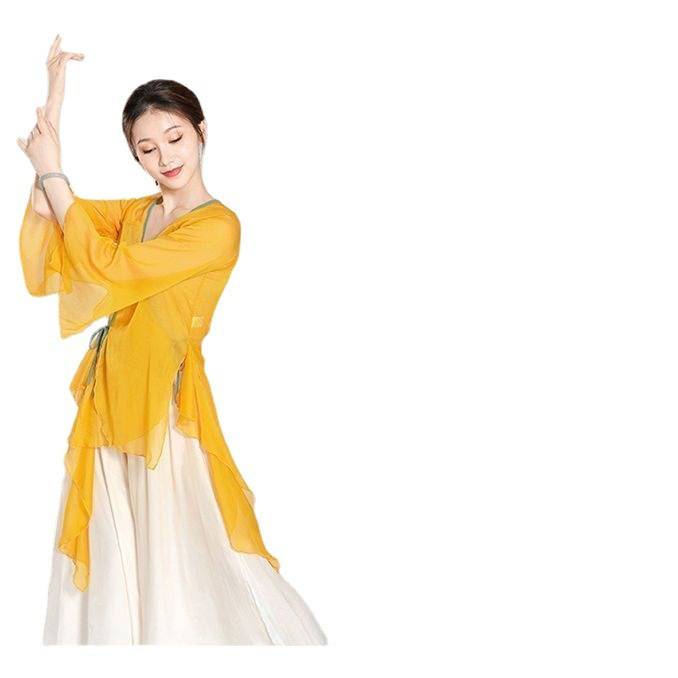 Hanfu's new classical dance clothing female gauze body rhyme Chinese dance exercise, fairy and elegant test dance performance