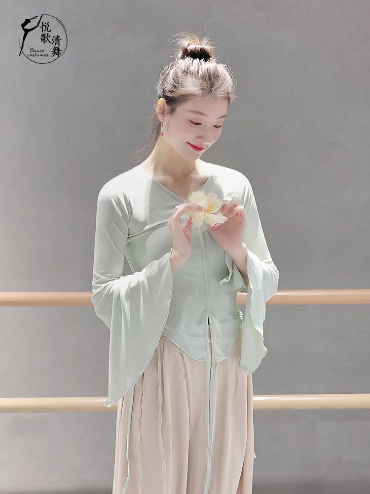 Classical dance new shirt, body rhyme gauze training, autumn and winter foundation performance, elegant dance clothes Chinese dance
