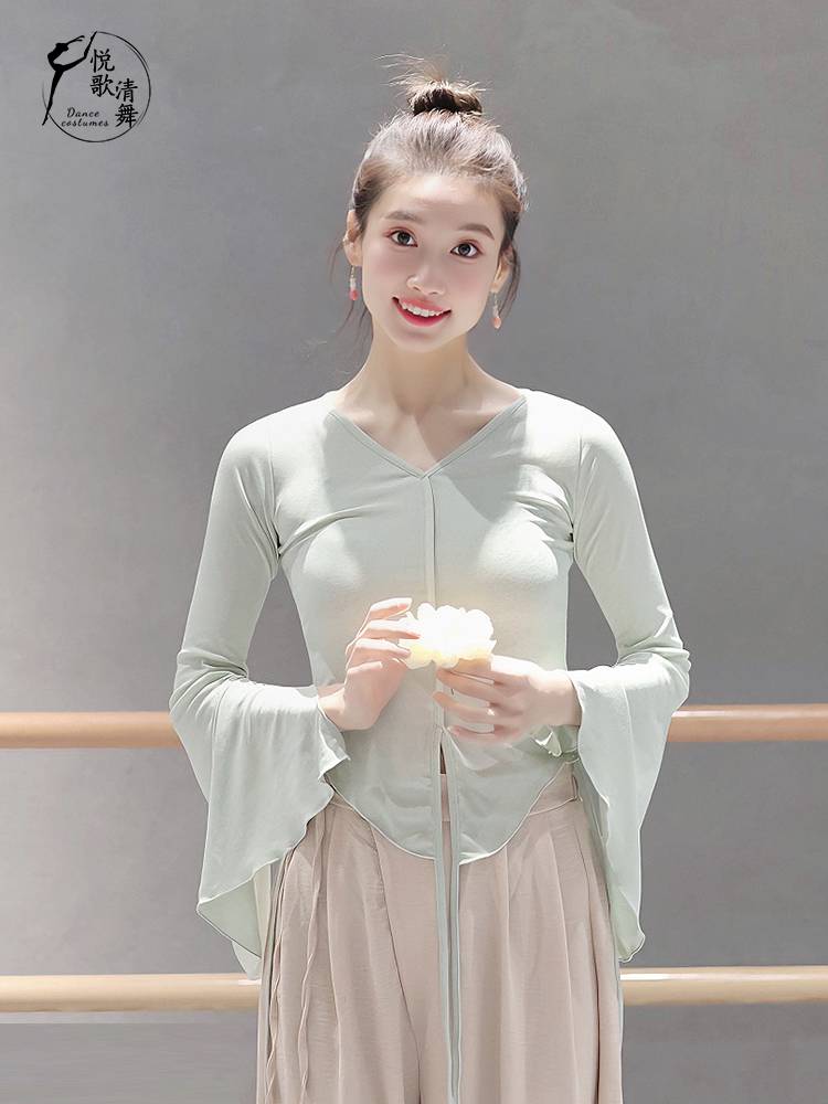 Classical dance new shirt, body rhyme gauze training, autumn and winter foundation performance, elegant dance clothes Chinese dance