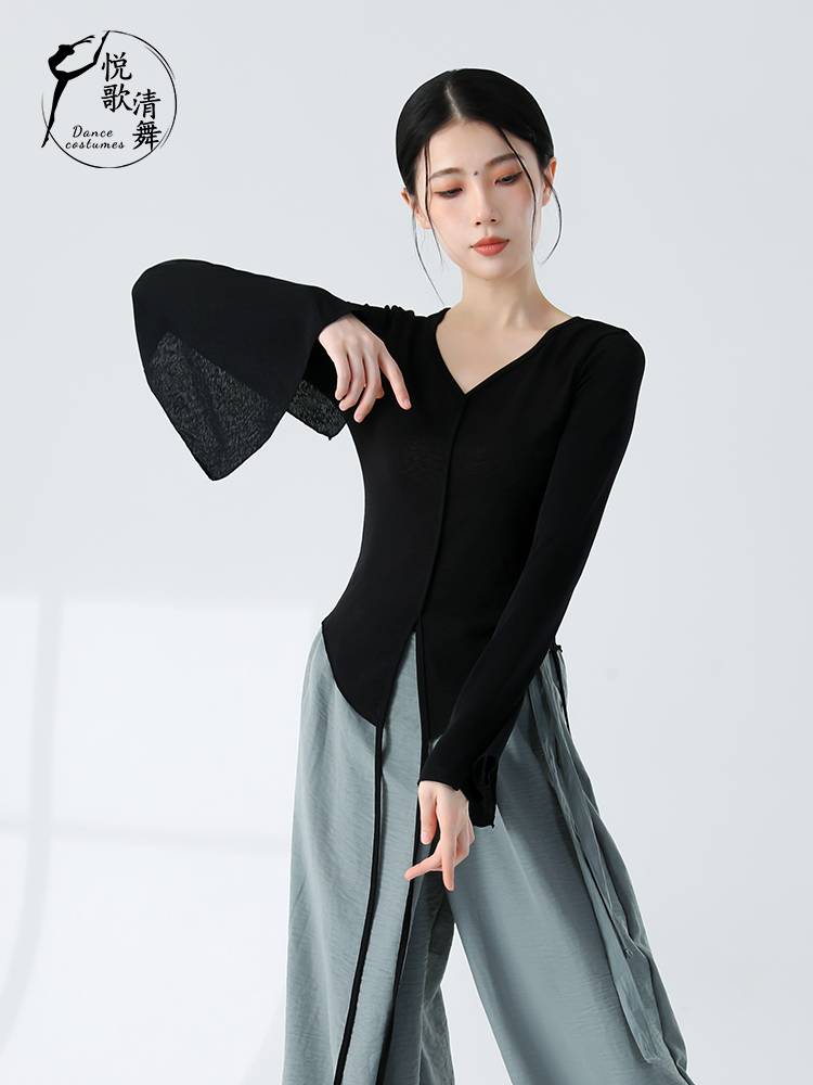 Classical dance new shirt, body rhyme gauze training, autumn and winter foundation performance, elegant dance clothes Chinese dance