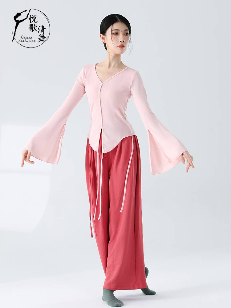 Classical dance new shirt, body rhyme gauze training, autumn and winter foundation performance, elegant dance clothes Chinese dance