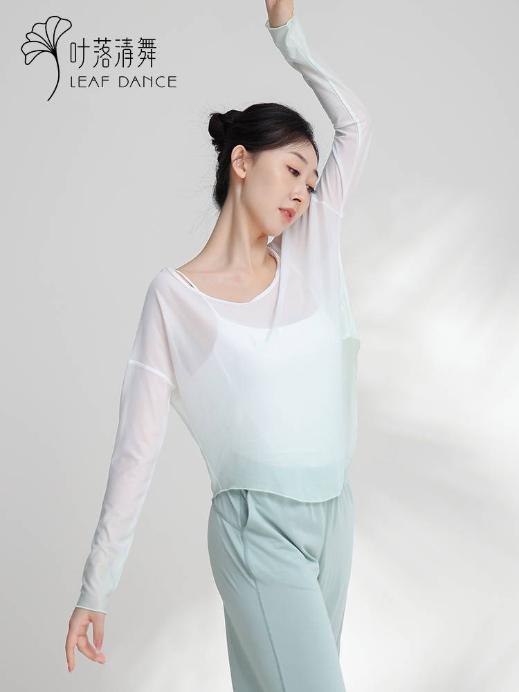 Ye Luoqing Dance Classical Dance Gradm mesh Oversize