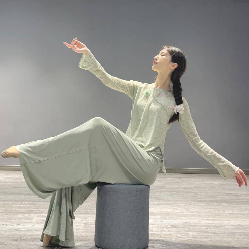 Modern dance clothing set female new adult Chinese dance straight -leg pants classical dance exercise figure body top