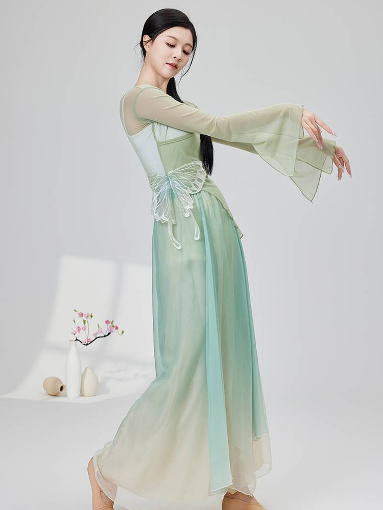 Classical dance dance clothing female elegant body rhyme yae practice service modern dance performance service Chinese dance performance suit suit