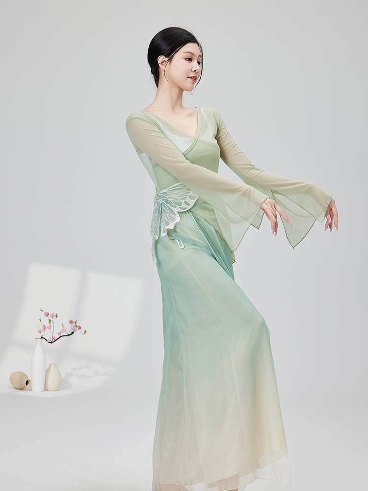 Classical dance dance clothing female elegant body rhyme yae practice service modern dance performance service Chinese dance performance suit suit