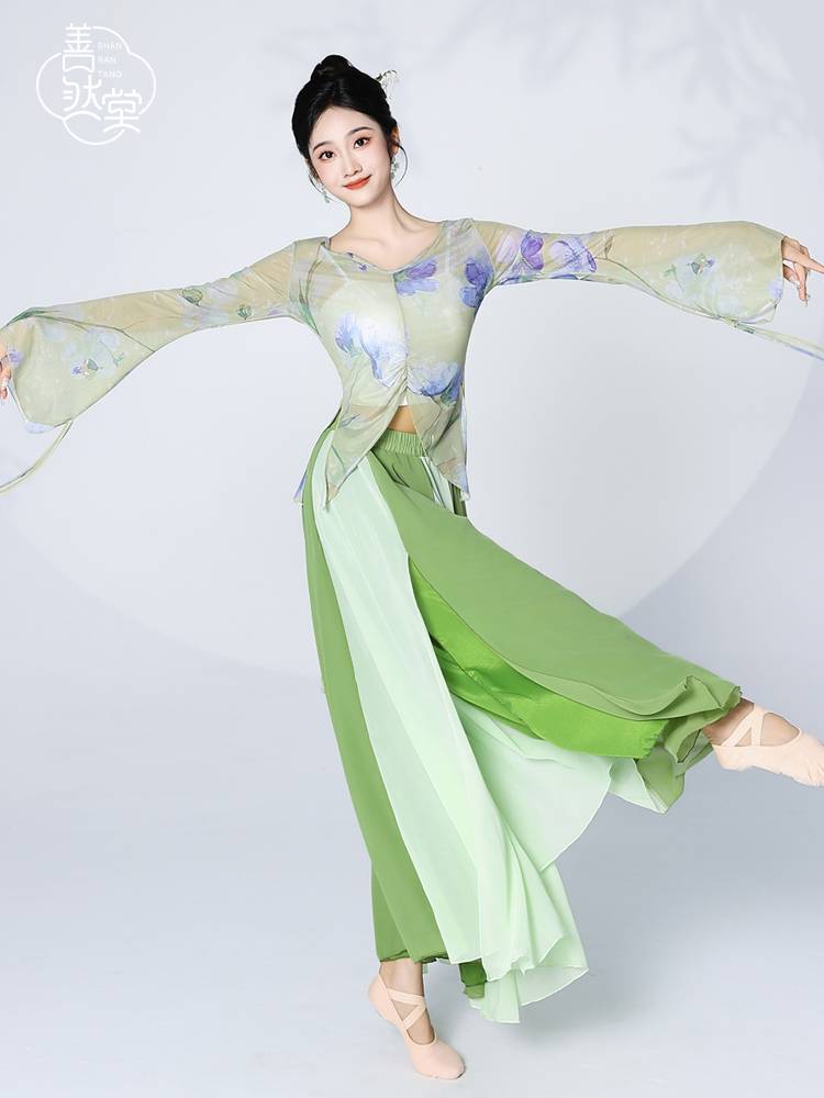Shan Ran Hall's new classical dance dance clothing female elegant body rhyme yarn practice clothes Chinese dance performance clothing top