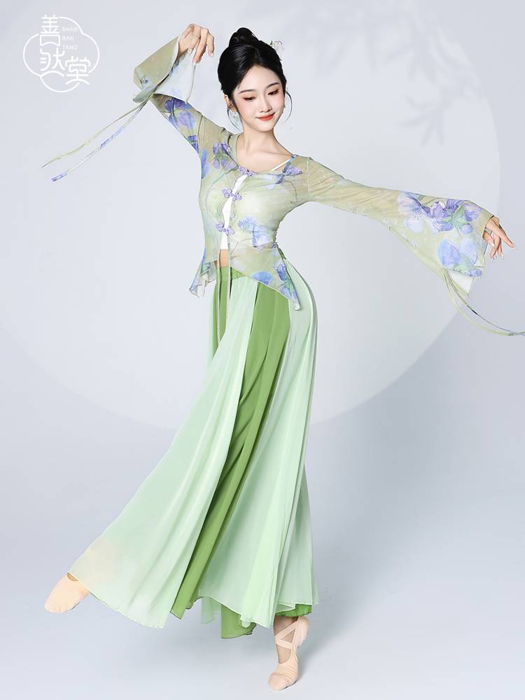 Shan Ran Hall's new classical dance dance clothing female elegant body rhyme yarn practice clothes Chinese dance performance clothing top