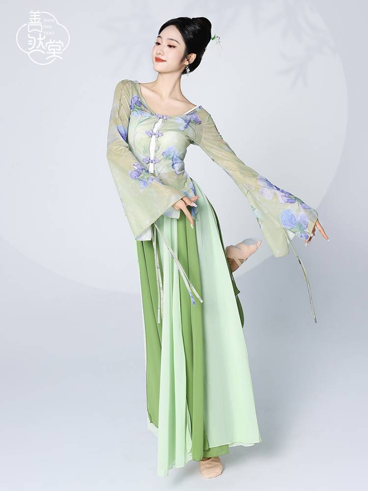 Shan Ran Hall's new classical dance dance clothing female elegant body rhyme yarn practice clothes Chinese dance performance clothing top