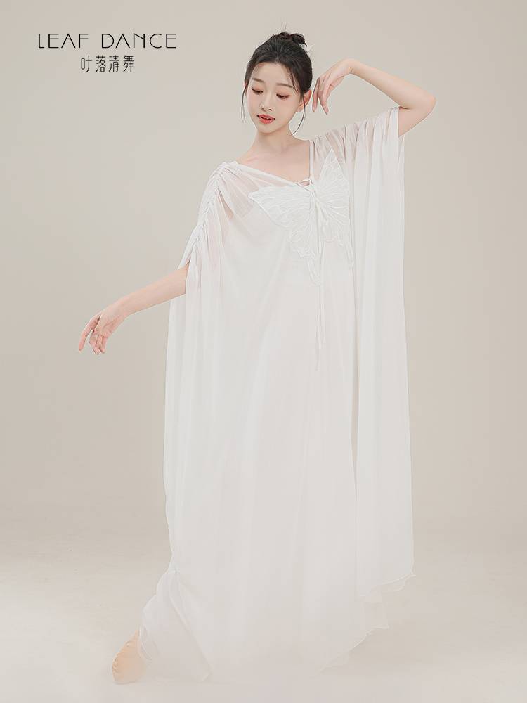 Ye Luo Qing Dance Classical Dance New Chinese Zen Skirt Chinese Dance Butterfly Big Skirt Fairy Loose Women's Long Skirt