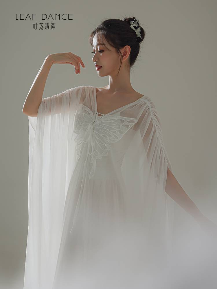Ye Luo Qing Dance Classical Dance New Chinese Zen Skirt Chinese Dance Butterfly Big Skirt Fairy Loose Women's Long Skirt
