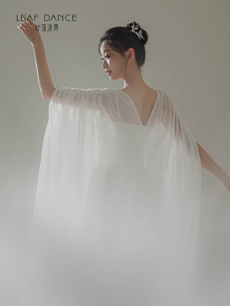 Ye Luo Qing Dance Classical Dance New Chinese Zen Skirt Chinese Dance Butterfly Big Skirt Fairy Loose Women's Long Skirt