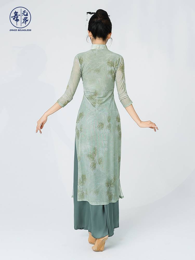 New classical dance clothing elegant female elastic gauze cheongsam body rhyme training clothes Chinese dance performance clothing