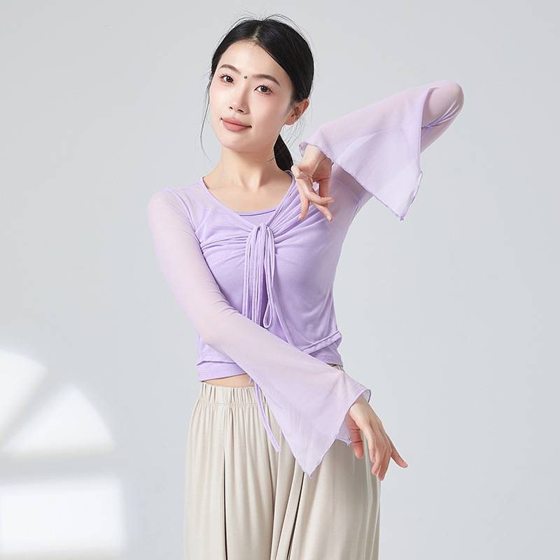 Soft new classical dance clothing gauze body rhyme dance practice service Chinese women elegant