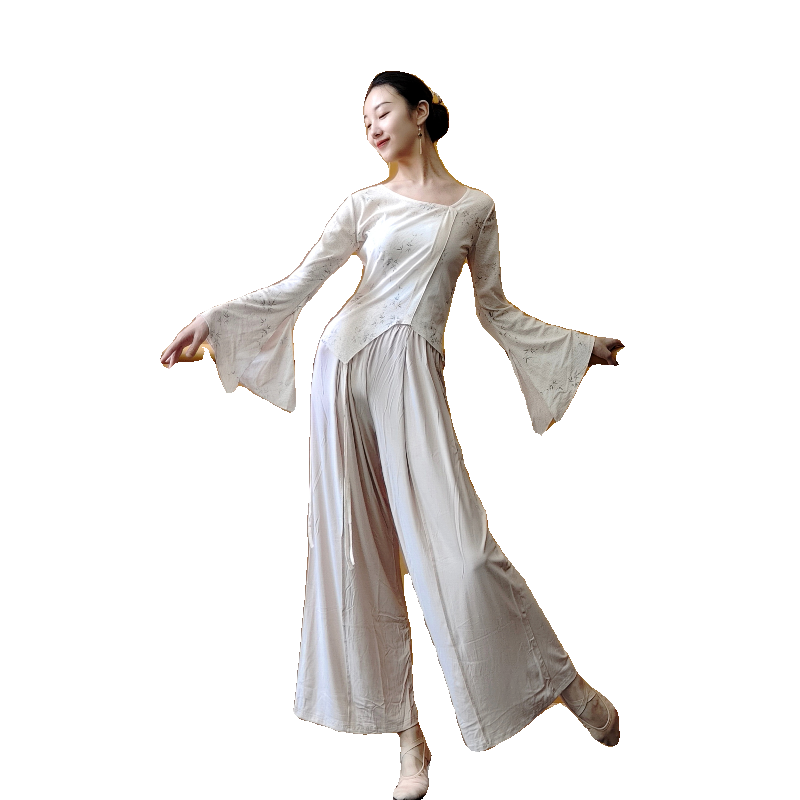 Classical Dance New Chinese Printing Top Chinese Dance Practice Dance Form Switzer Sites Giney Clothing Examinations